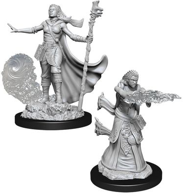 Dungeons &amp; Dragons Nolzur`s W11 Female Human Wizard