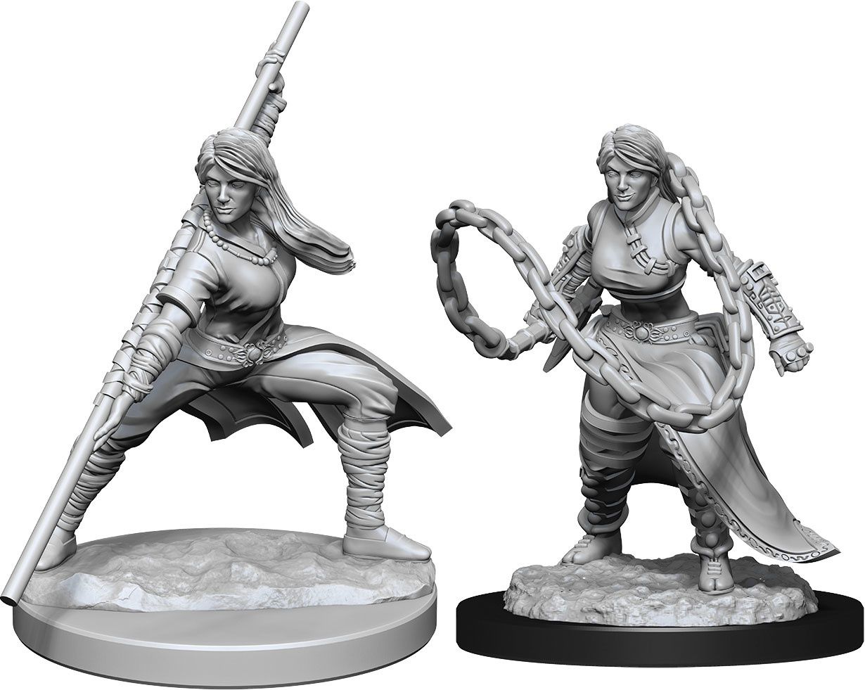 Dungeons &amp; Dragons Nolzur`s Marvelous Unpainted Miniatures: W14 Human Monk Female