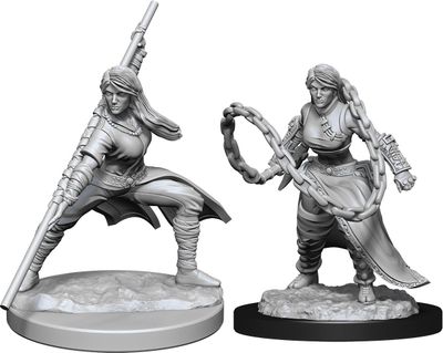 Dungeons &amp; Dragons Nolzur`s Marvelous Unpainted Miniatures: W14 Human Monk Female