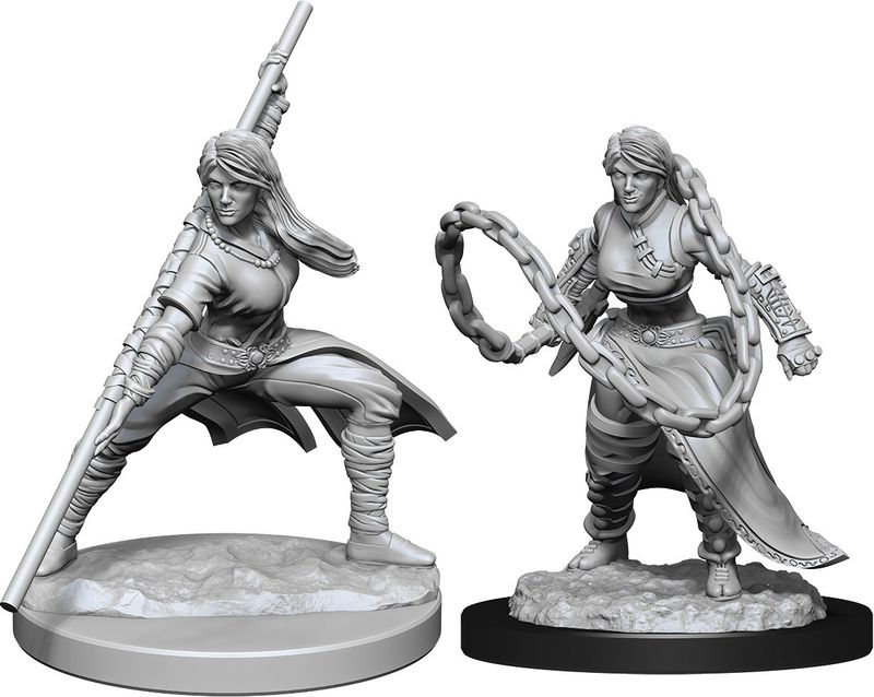 Dungeons &amp; Dragons Nolzur`s Marvelous Unpainted Miniatures: W14 Human Monk Female