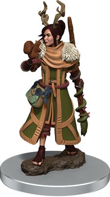 Premium Figures W7 Female Human Druid