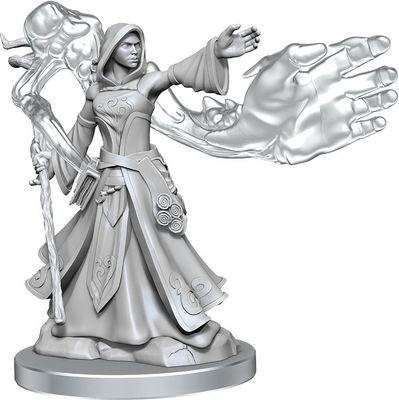 Dungeons &amp; Dragons Frameworks: W01 Elf Wizard Female