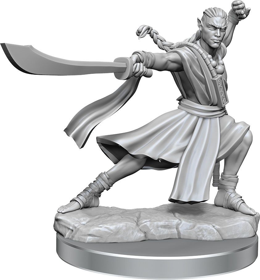 Dungeons &amp; Dragons Frameworks: W01 Elf Monk Male