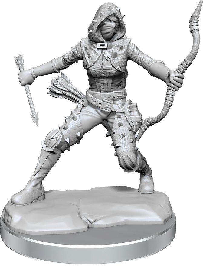 Dungeons &amp; Dragons Frameworks: W01 Human Rogue Female