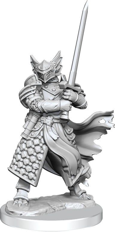 Dungeons &amp; Dragons Frameworks: W01 Dragonborn Paladin Male