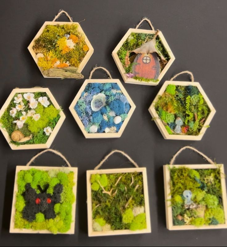 Small Moss Art 