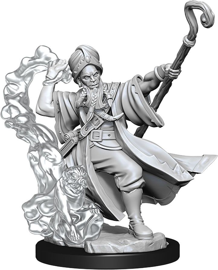 Dungeons &amp; Dragons Frameworks: W01 Human Wizard Male