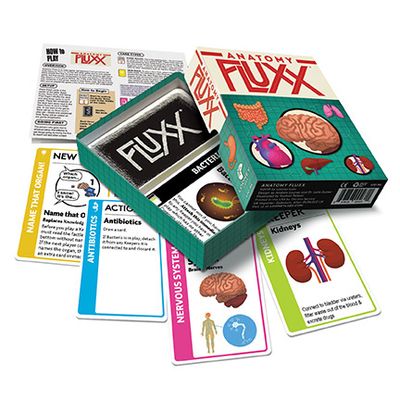 Anatomy Fluxx (DISPLAY 6)