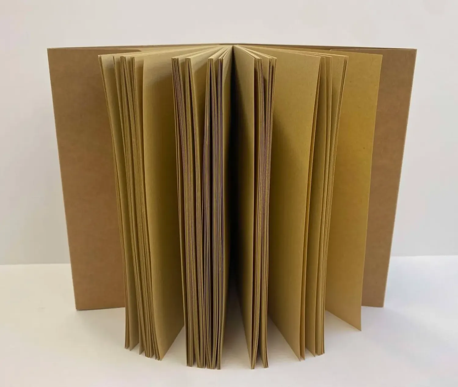 Page Refill For Dragon Eye Journals