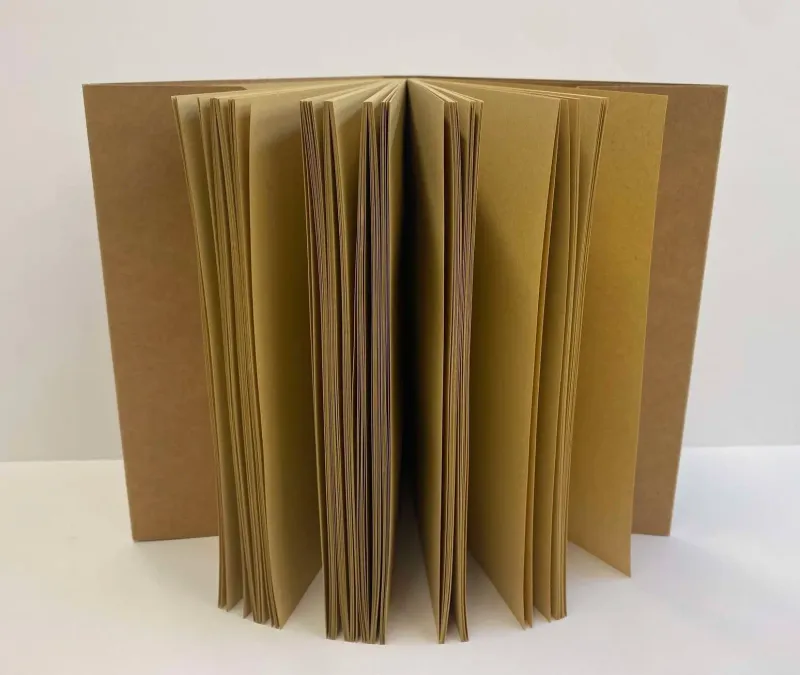 Page Refill For Dragon Eye Journals