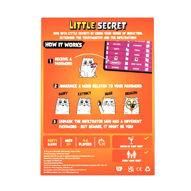 Little Secret