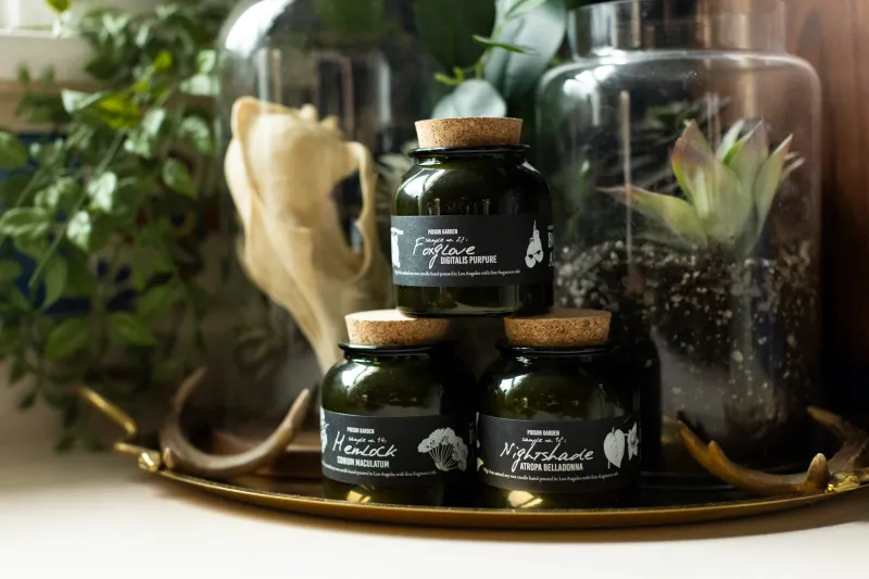 Botany 6oz Cantrip Candle