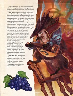Humblewood Campaign Setting - 5e D&amp;D (Hardcover)