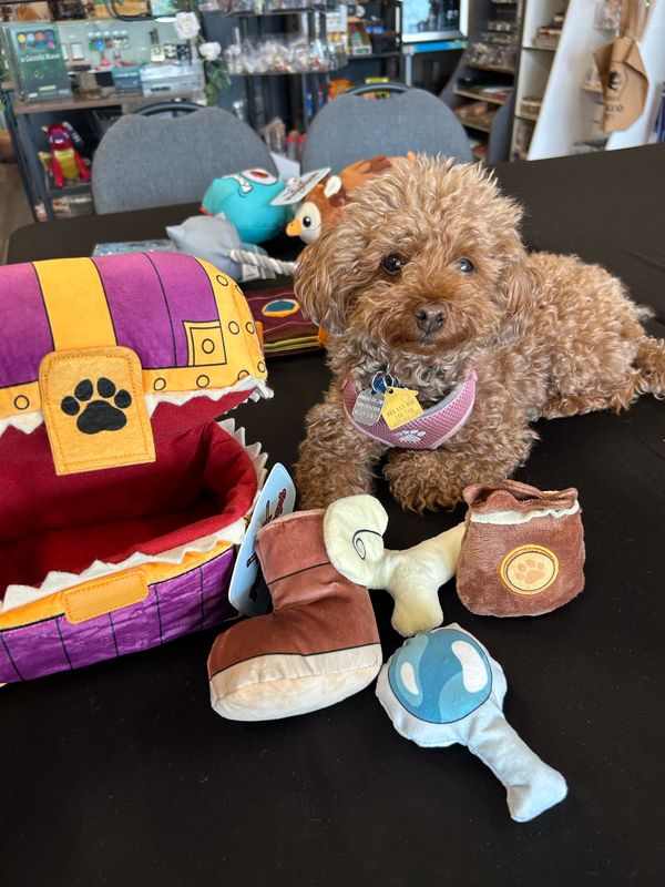 Pawlymorph Pet Toys