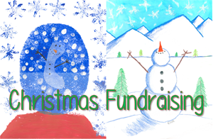 DONATION Christmas Fundraiser Southern Appalachian Enrichment Project Co
