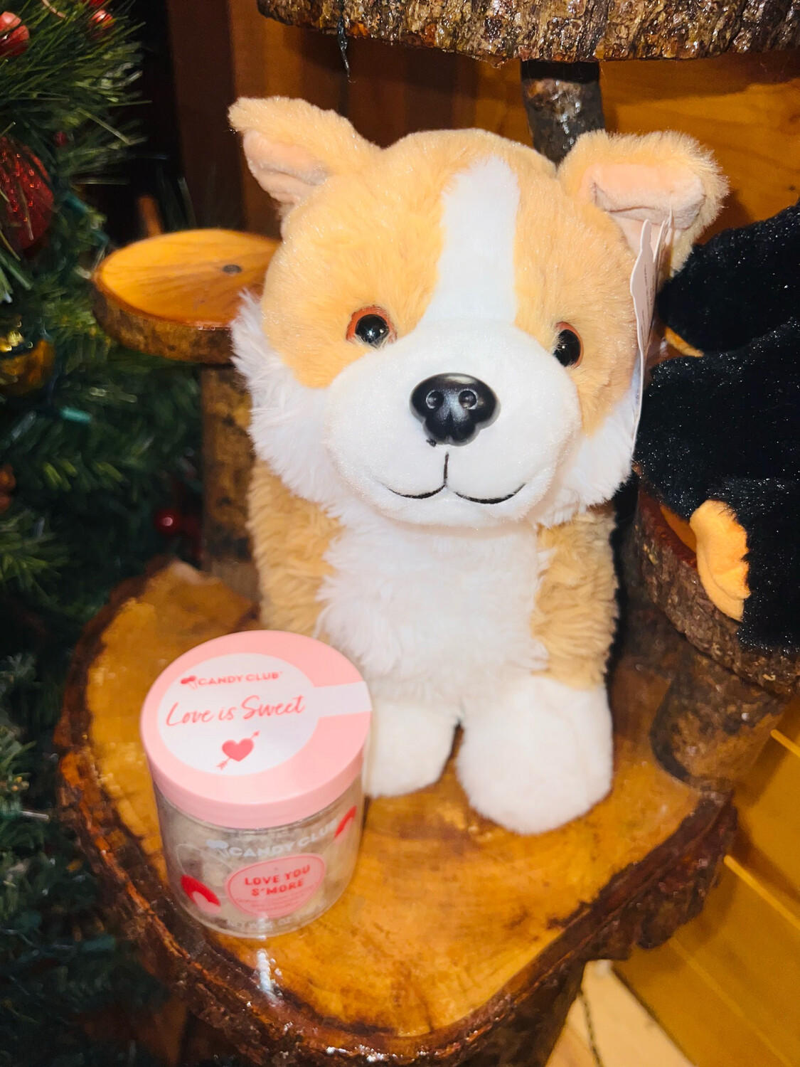 16” Corgi Love Pup with Love You S’more Candy Club