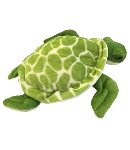 Shelly The Turtle 8” Stuffed Toy