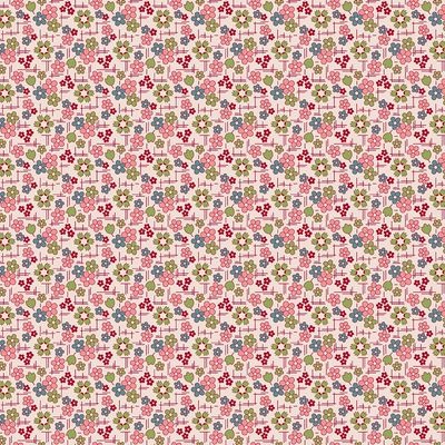 Farmers Daughter Coral Daisy