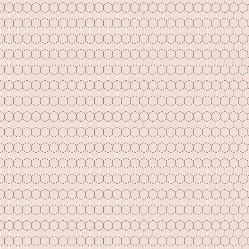 Farmers Daughter Rustic Chicken Wire Background