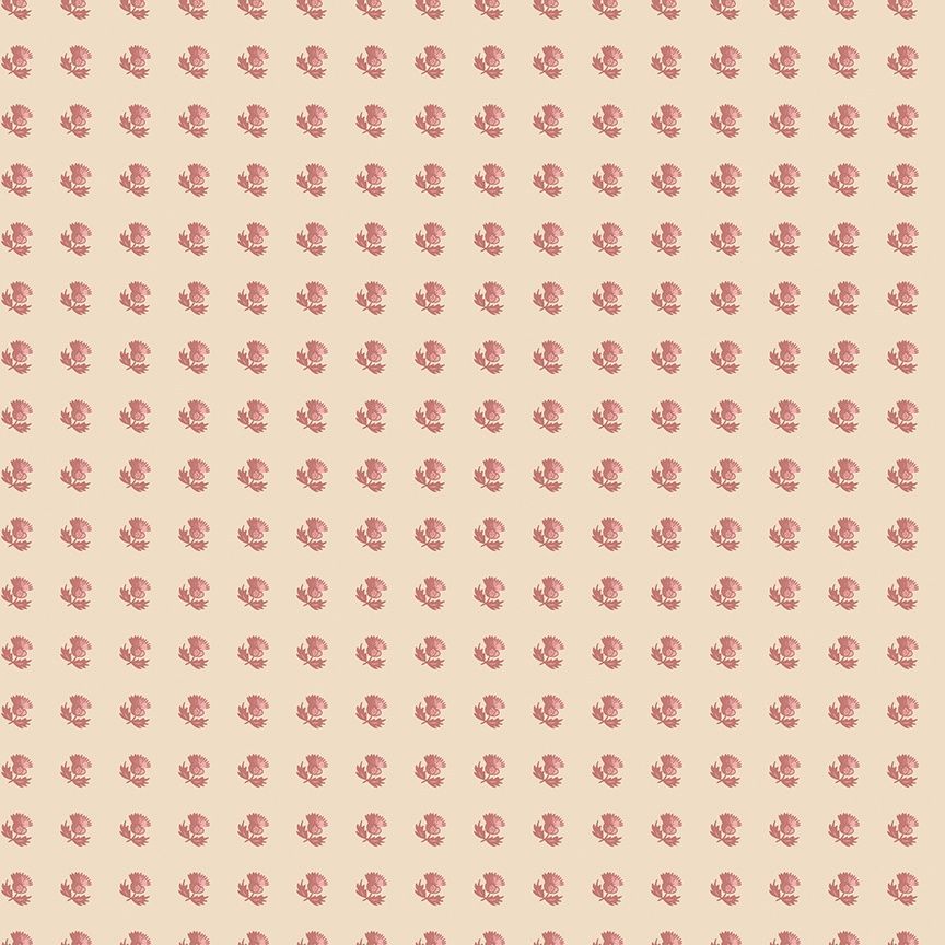 Sense&amp;Sensibility - Middleton