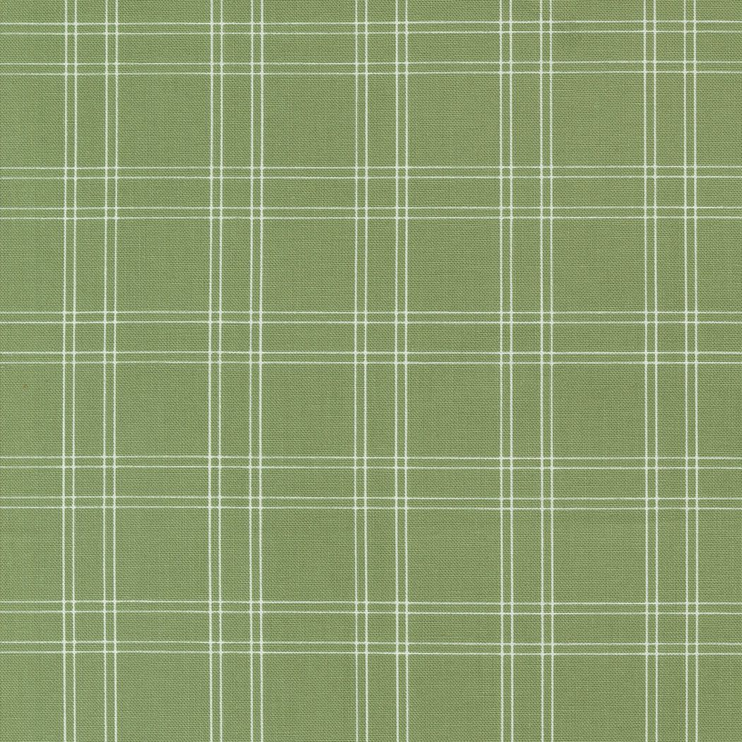 Shoreline - 0215 - Green