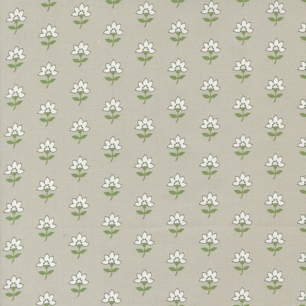 Shoreline - 0116 - Grey