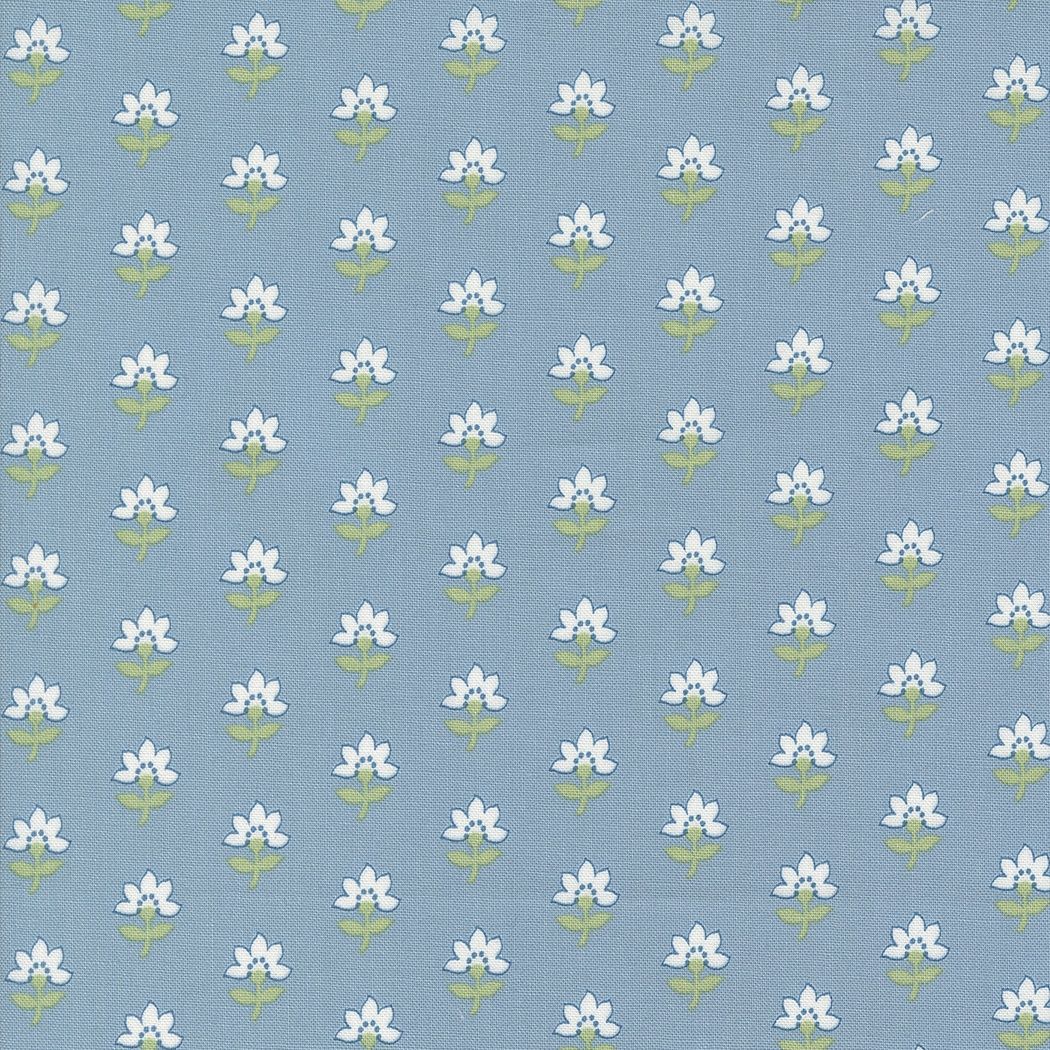 Shoreline - 0112 - Blue