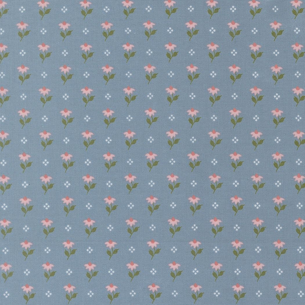 Wild Honey - 5214 - Sky