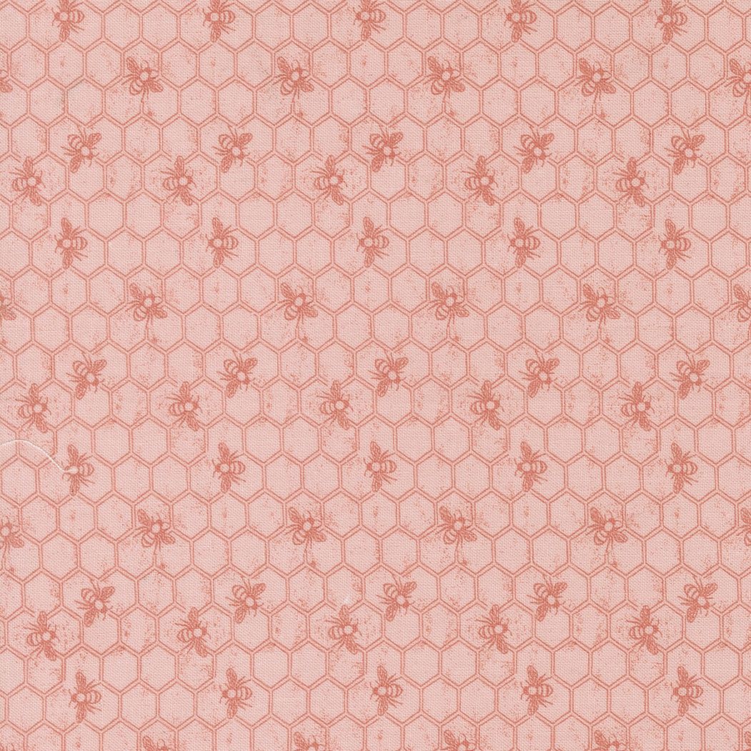 Wild Honey - 5312 - Carnation