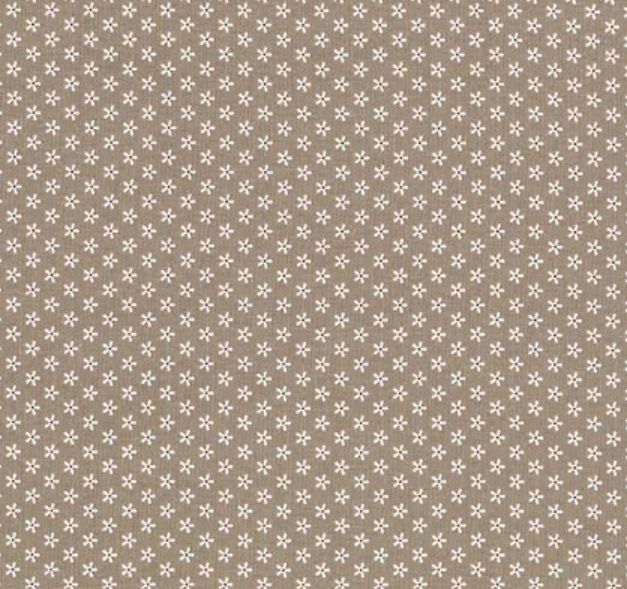 Bee Basics - C6403 - Pebble