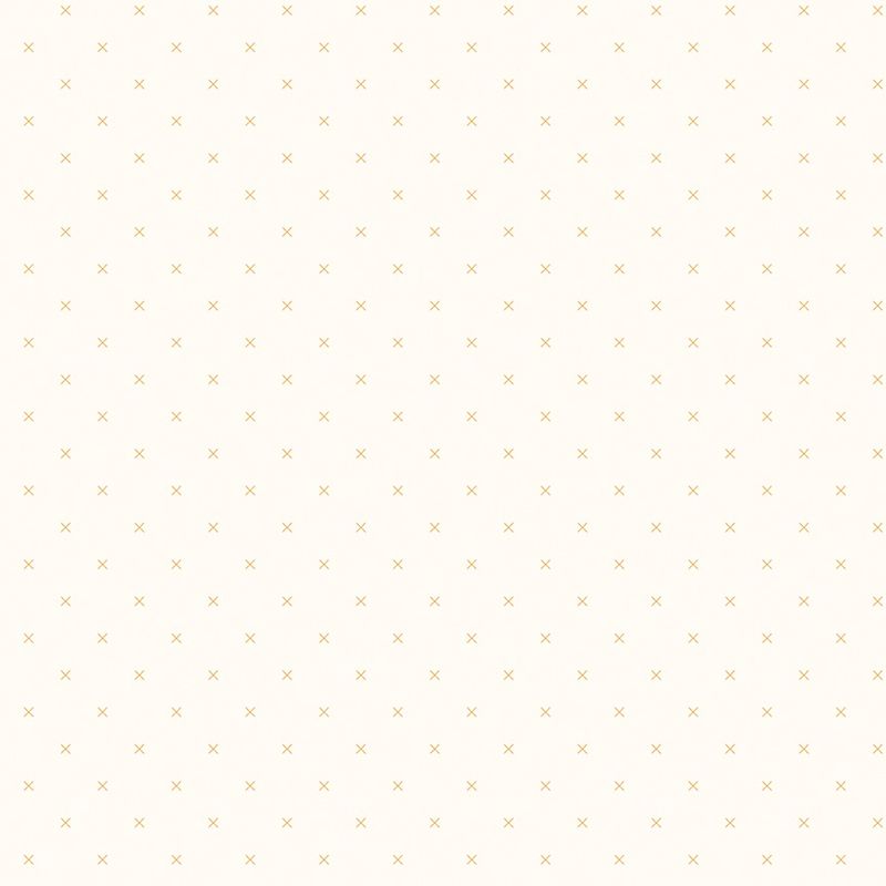 Bee Cross Stitch - C747 - Daisy