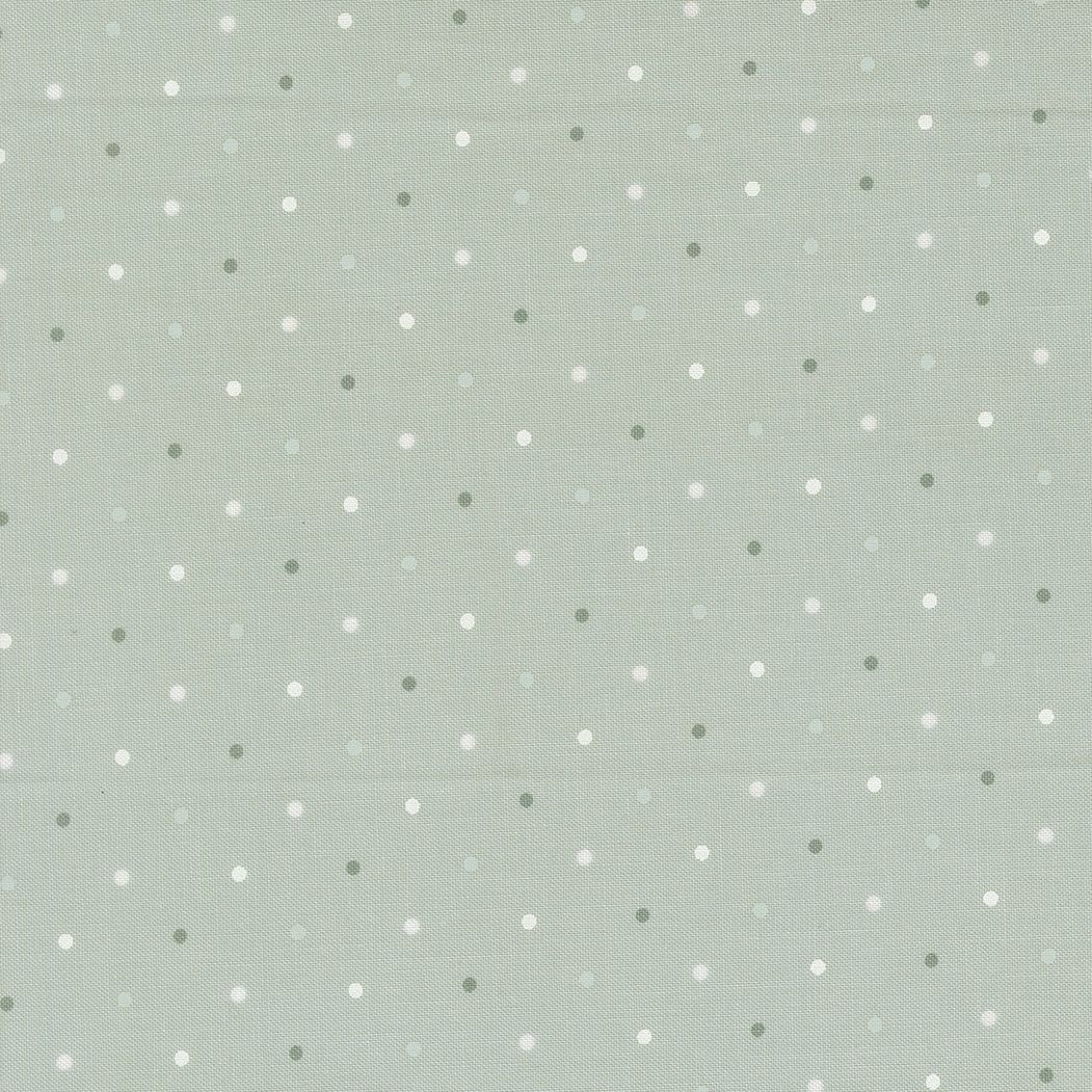 Magic Dot - Robins Egg - Dubbelbreed - per 10 cm