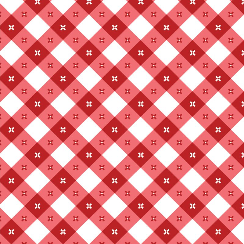 Gingham Picnic - Red Napkin