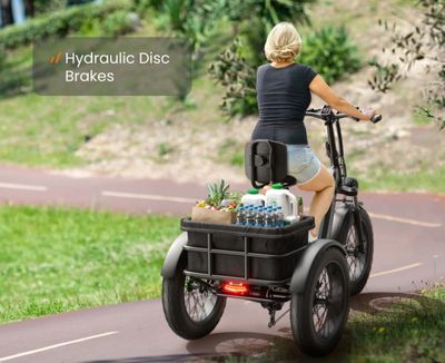 Husky Plus Trike (Dual Battery)