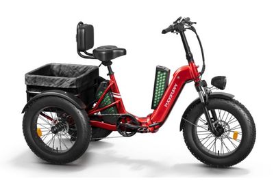 Husky Plus Trike ( Dual Battery)