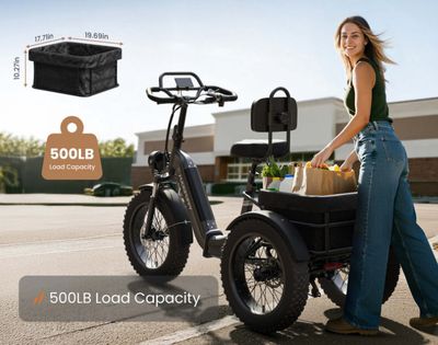 Rottweiler Trike  (Wide Display, w/Reverse)