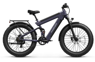 Bulldog Dual Battery