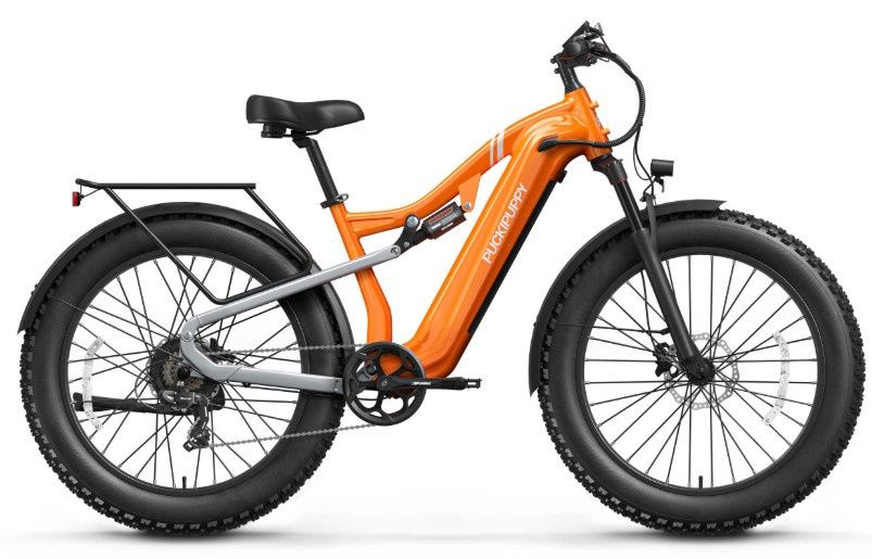 Labrador, Color: Orange