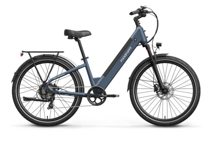 Poodle, Color: Slate Blue