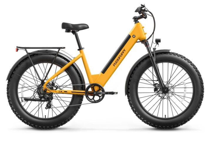 Samoyed, Color: Bright Yellow