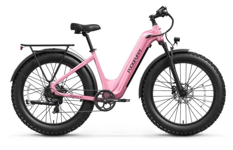 Beagle 2 ST, Color: Pink