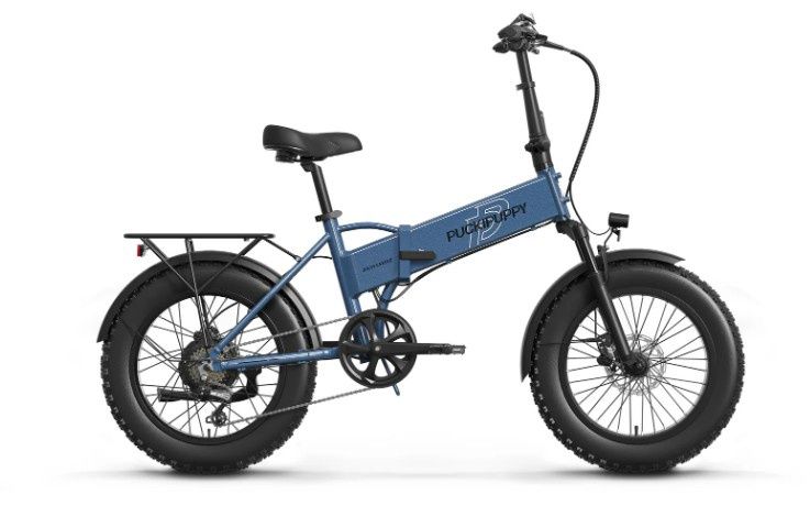 Dachshund, Color: Blue