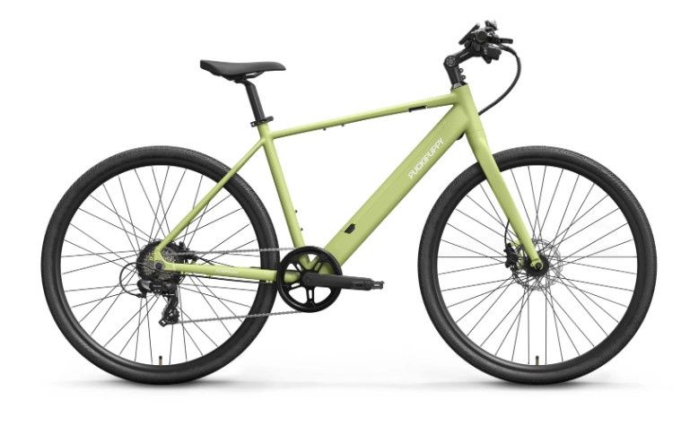 Doberman, Color: Green Yellow