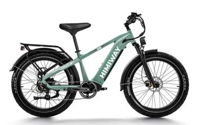D5(Zebra) / All-Terrain Electric Fat Bike