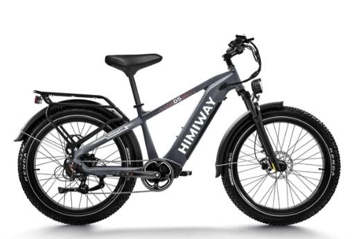D5(Zebra) / All-Terrain Electric Fat Bike, Color: Space Gray
