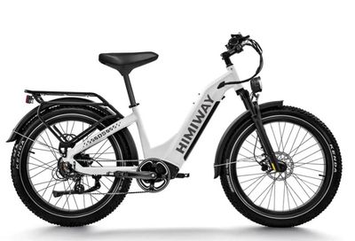 D5 ST (Zebra ST) / All-Terrain Electric Fat Bike