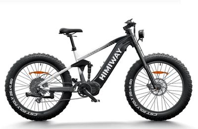 D7 Pro Mountain eBike