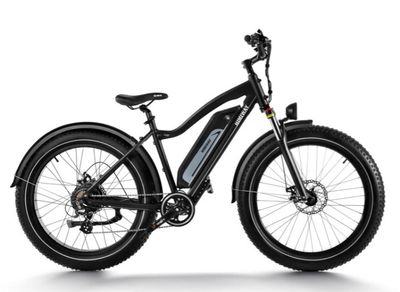 D3 (Cruiser) / Long Range Fat Tire Electric Bike