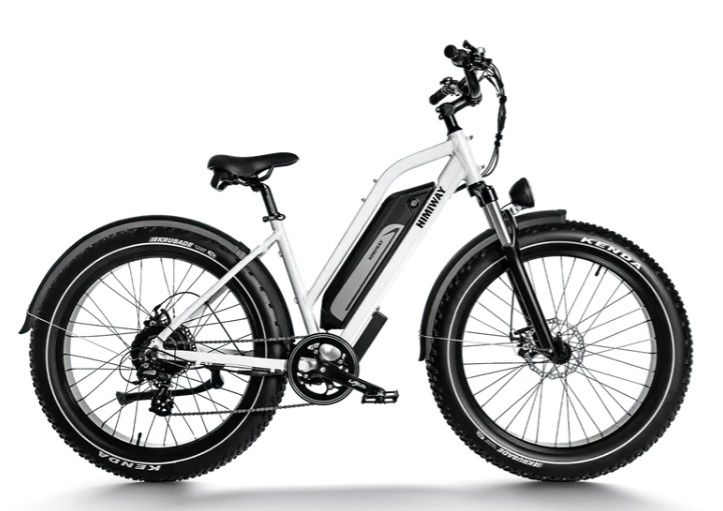 D3 ST(Crusier ST) / All Terrain Electric Bike, Model: Without Rear Rack