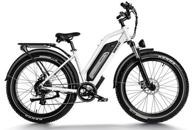 D3 ST(Crusier ST) / All Terrain Electric Bike